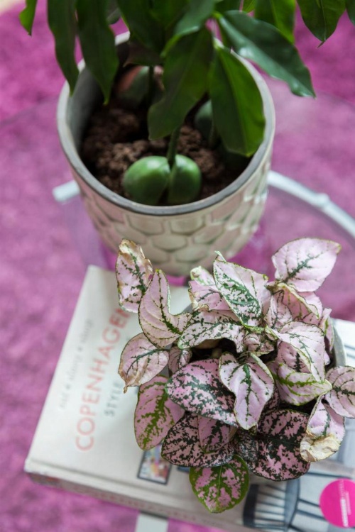 Andersen Boutique Hotel image 16